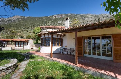 Delphi Villa | delphi villa Terracotta