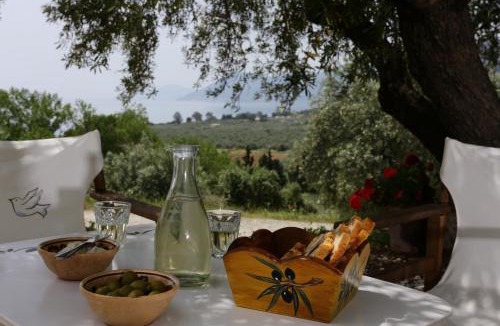 Veria House | Eleonas hotel