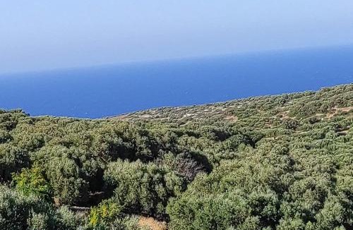Vrouhas Villa | Elounda Almond Tree Villa Private Pool, Sea Views & Birds in a Relaxing Authentic Cretan Escape