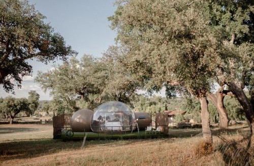 Valencia de Alcantara Hotel | Finca El Cortiñal