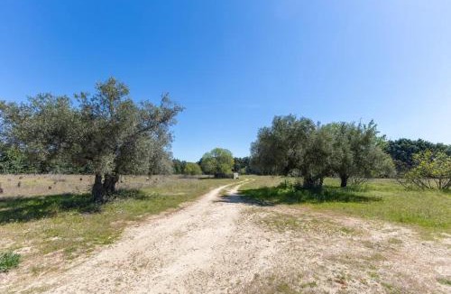 San Martin de Valdeiglesias Villa | Finca el Palomar de la Viña