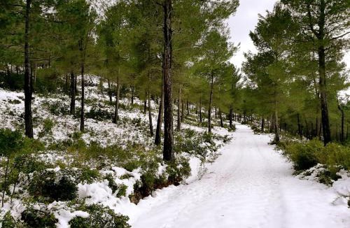 Moratalla House | Finca La Celada