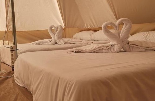 Encinas de Esgueva Other | Glamping La Bellota