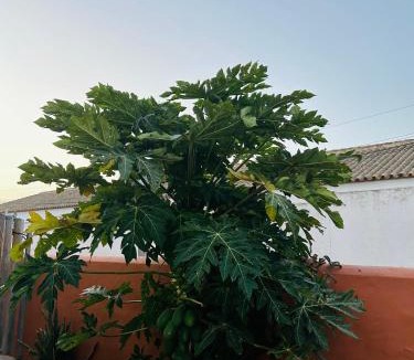 Zahora House | Hostal Cafeteria El Mero