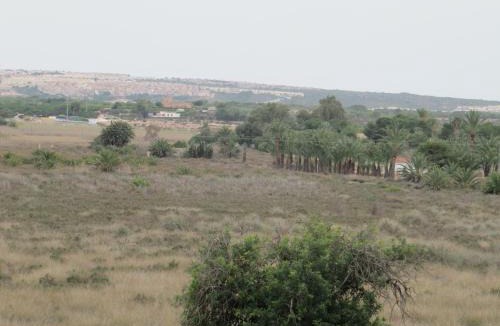 El Altet House | Hostal Meseguer
