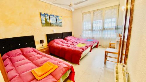 Leon House | Hostal Sol Naciente