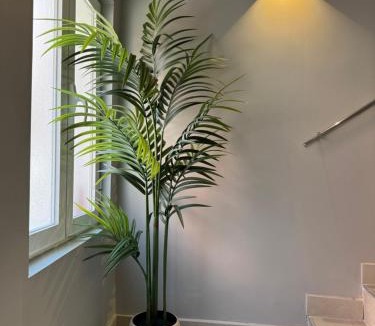 San Diego Hostel | Hostel Vallecas