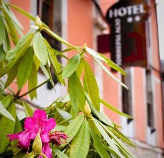 Proaza Hotel | Hotel Torrepalacio
