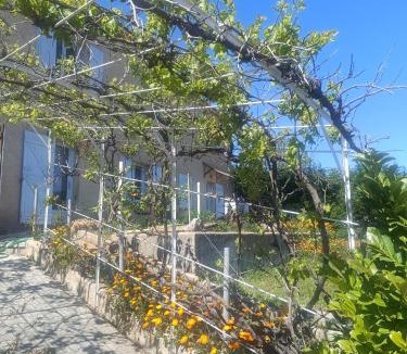 Chateau-Arnoux-Saint-Auban Apartment | Hysope