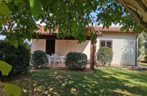 Arcille House | Il Punto Verde