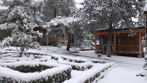 Becerril de la Sierra House | Jardín Las Secuoyas