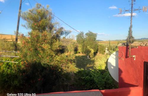 Coin House | La Finca Roja