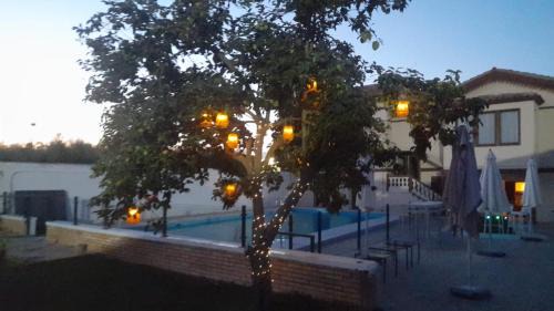 Corella Apartment | La Huerta Corella