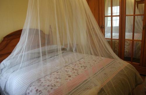 Anguix House | La Verdevilla