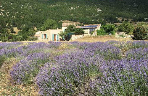 Sault Bed & Breakfast | Le Jas du Mont Ventoux