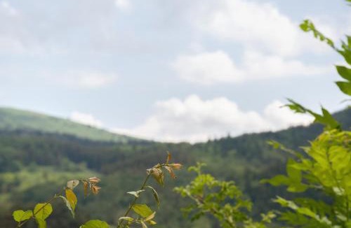 Gresse-en-Vercors Apartment | Les Cimes - La Canopée