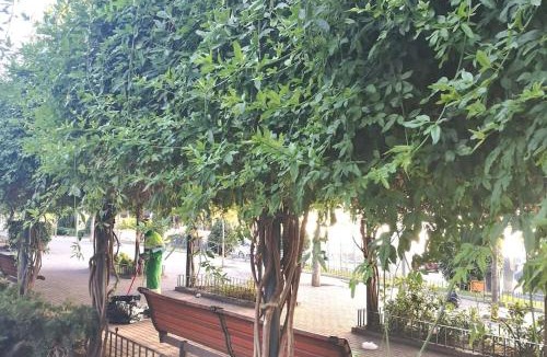 San Andres Apartment | LOFT 2 DORMITORIOS