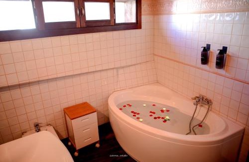 Jaen Apartment | Luxe ÁticoDúplex 2min Catedral