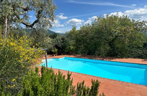Monteleone Sabino House | Olivella e Oleandra