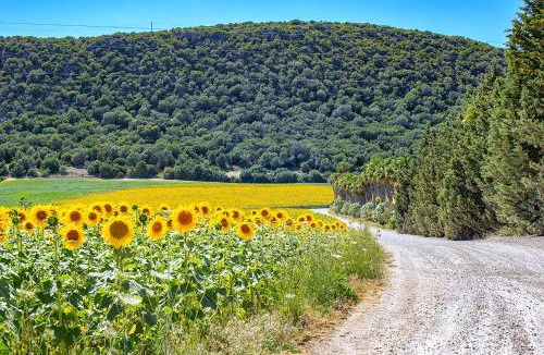 Arcos de la Frontera House | Private Villa Cortijo Sierra y Lago with private swimming pool