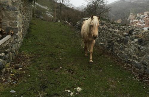 Munilla Ski Chalet | Riojania Traditio Mountain
