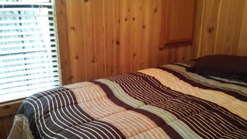 Emigrant Gap Resort | Snowflower Camping Resort Cabin 4