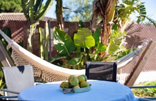San Ambrosio House | Spacious House with Private Pool El Soto