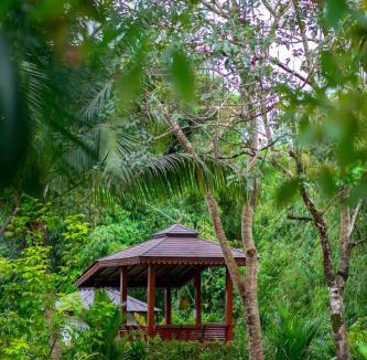 Khao Lak Villa | Sriwaree Pool Villa Khao Lak - 8 meters pool - 3 bedroom - 2 bath