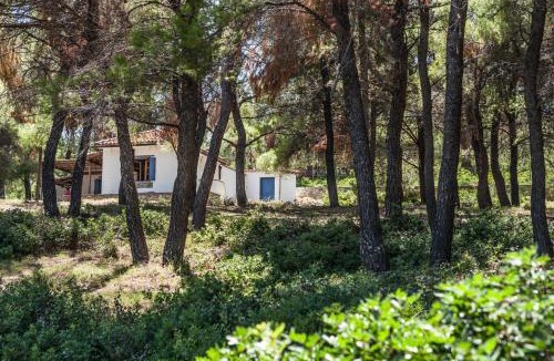 Votsi Villa | Studio Kokkinokastro