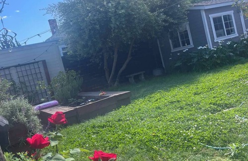 Bushrod House | Sunny Oasis: Spacious 2-bedroom house w/beautiful backyard on a peaceful block