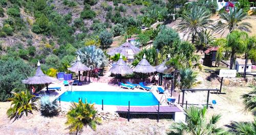 Alozaina House | Tiny house 12m2 "ANTON PIECK" in holiday park with 55 m2 pool