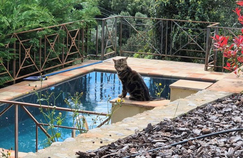 Bargemon Villa | Tranquil 4-bedroom villa in Bargemon with aircon