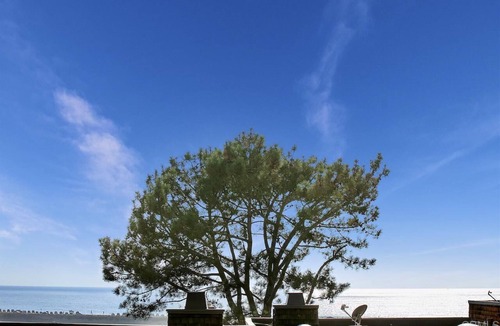 Del Mar Heights House | Updated, bright End Unit. 2 bed, 2 bath retreat. Amazing Views, Walk to beach.