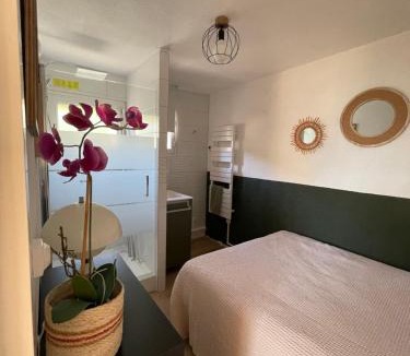 Orcieres-Merlette Apartment | Vallonpierre