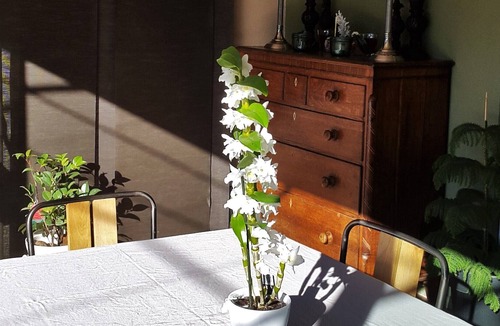 La Garde-Freinet Villa | Very nice and quiet villa in La Garde Freinet with outdoor pool