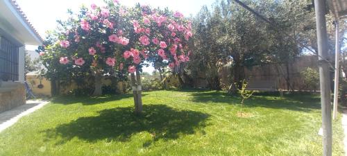 Chipiona House | Villa Antonia