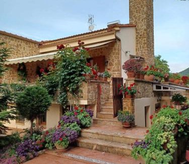 Olympiada House | Villa Bettina