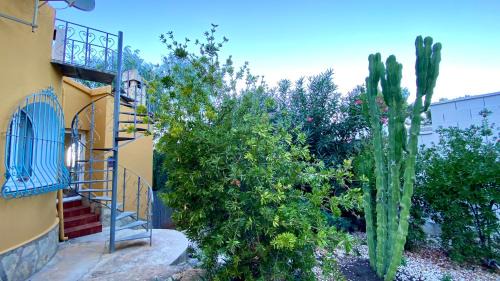 Denia House | Villa Canoa VYBDenia
