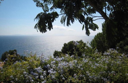 Cavaliere Villa | Villa Cavalaire-sur-Mer, 2 pièces, 4 personnes - FR-1-100-202