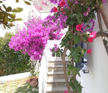 Sithonia House | Villa Danai
