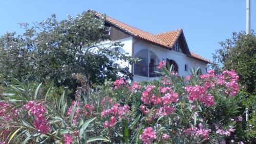 Asprovalta House | Villa Iris
