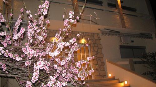 Potos Apartment | Villa Kokkinos