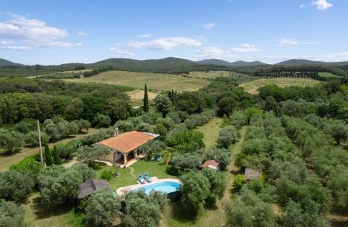 Bibbona Villa | Villa Le Vigne
