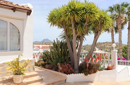 Coveta Fuma Villa | VILLA LUCYA