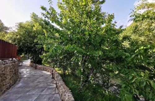 Trefacio Apartment | VILLA MAREL