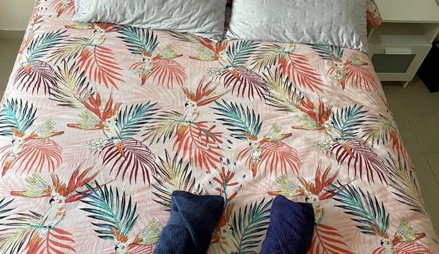 ÁTICO HOME y Garaje, Algemesi Home