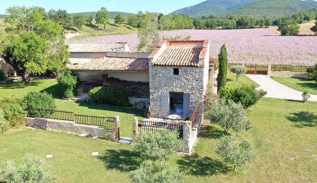 2 independent accommodation in the middle of lavender