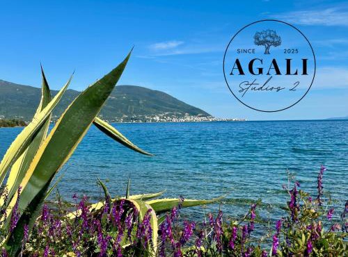 Agali Studios 2