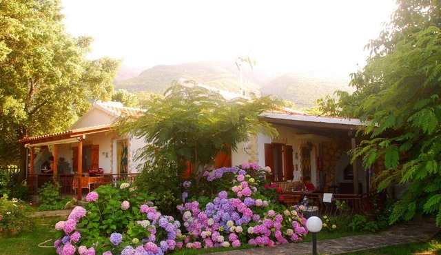 Alekas Studios