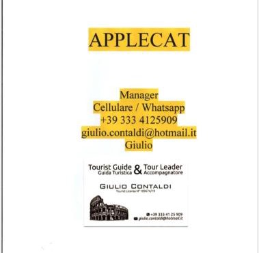 AppleCat in Rome